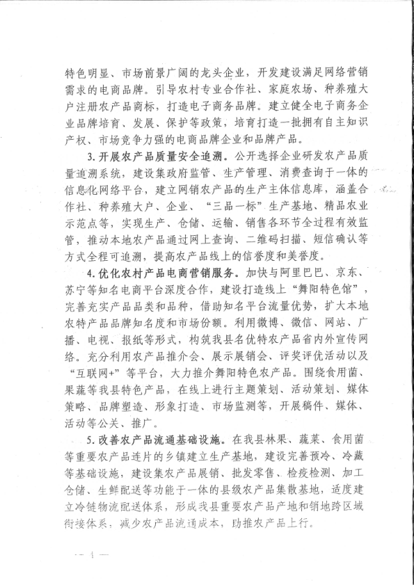 舞阳县电子商务进农村示范县申报方案_6.png